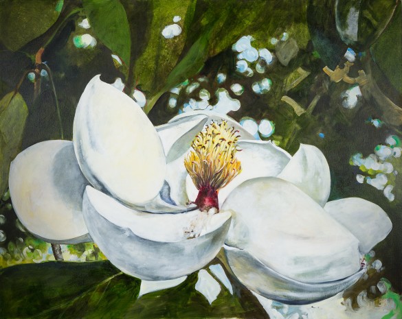 Jim Draper, Magnolia, 2012, Oil on canvas, 48" x 60", Courtesy of the Artist