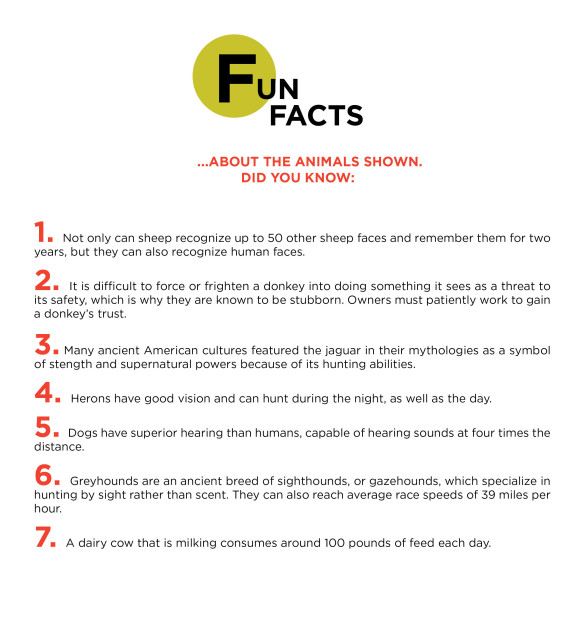 fun facts300