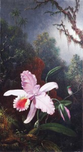 Martin Johnson Heade, American (1819 - 1904), 'Orchid with an Amethyst Hummingbird, c. 1875 - 1890, Oil on canvas, 18 1/16 x 10 1/8 in., Bequest of Ninah M.H. Cummer, C.O.112.1.